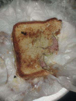 The hot ham and cheese sandwich before opening it.