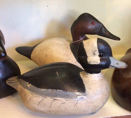 ORIGINAL BUFFLEHEAD (circa 1972) - EUGENE EICHSTAEDT