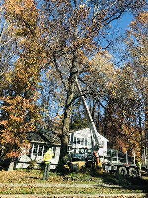 Crew shows up promptly, preps area and gets to work right away.