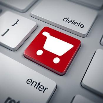 Want to start selling online?  We can set you up with e-commerce solutions for 10 to 1,000 products and more!