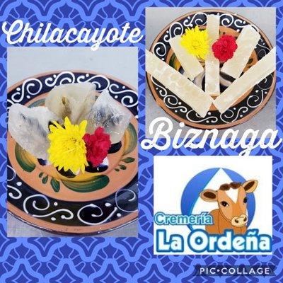 Chilacayote y Biznaga