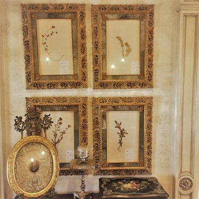 Real Botanicals framed in antique mirror matting and Italian reticulated frames.