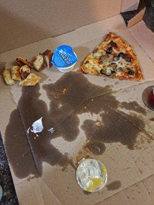 See this grease!  Worse was the amount that poured off the slices too.