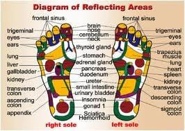 Reflexology, also called zone therapy, is an alternative treatment, consisting of applying pressure to the feet or hands