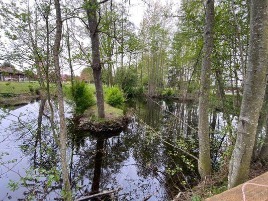 Pond with bridge