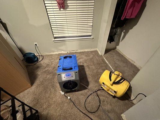 Dehumidifier and fan "drying" carpet