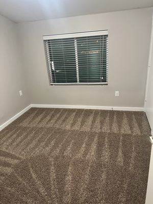 Deep carpet Cleaning