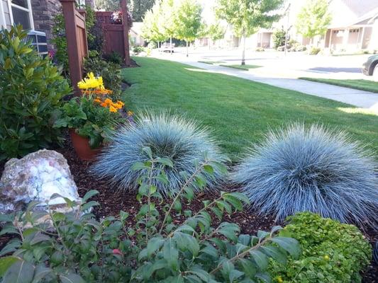 Thank you to Ben and his team for providing great results maintaining the landscape on this multifamily property in Lynden, WA
