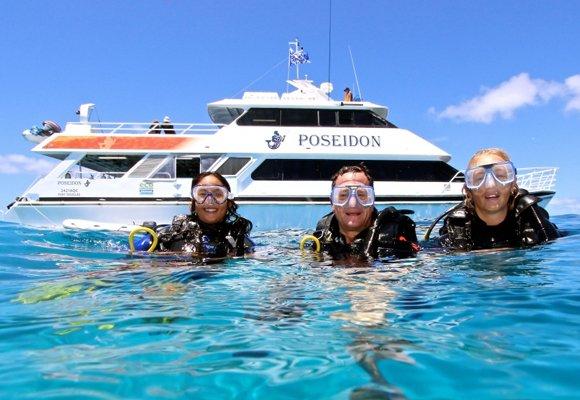 Guided Boat Dives