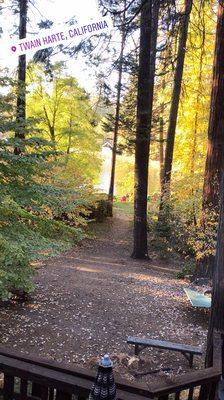 Short walk way to the dock from the cabin.....view from cabin just awesome