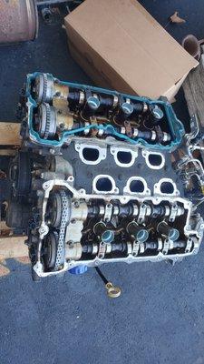 Somethings missing.... oops, it's a timing chain!