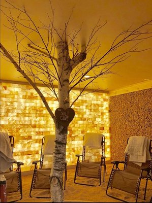 The birch in the center of the room.