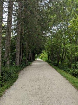 Easy gravel path- looks like this the whole way through