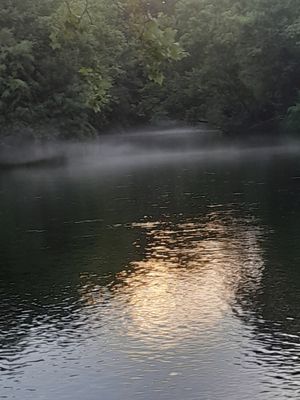 Watauga River Rental