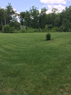 Lawn Care customer Hubbardston, MA