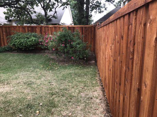 Lake Dallas new fence with Natural Cedar stain.