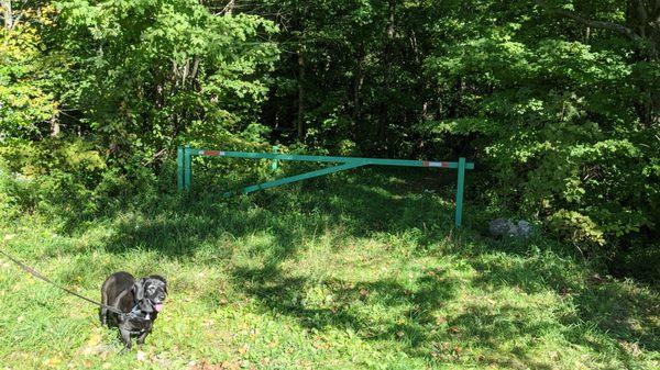 The gate entrance (dog not included)