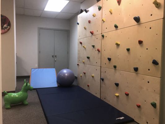 Your child will look forward to challenging the rock wall. You'll look forward to OT, PT, & Speech skills addressed all at the same time!