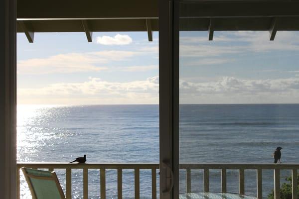 Our view all day long from Lanai at pacificCondosKauai