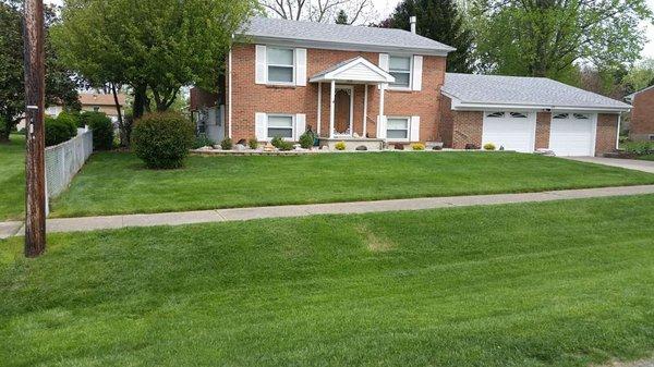 Grass Master Lawn and Landscaping & More