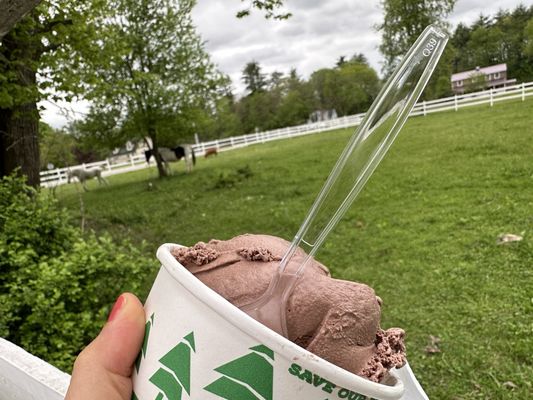 Rocky toad ice cream a delicious