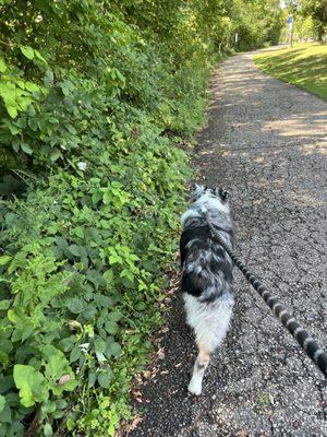 The walking path near Racy's.