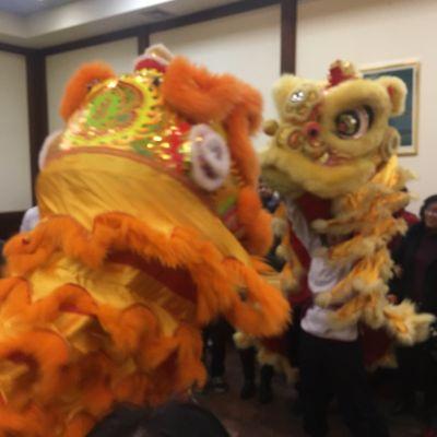 Lunar New Year. Dragon dance