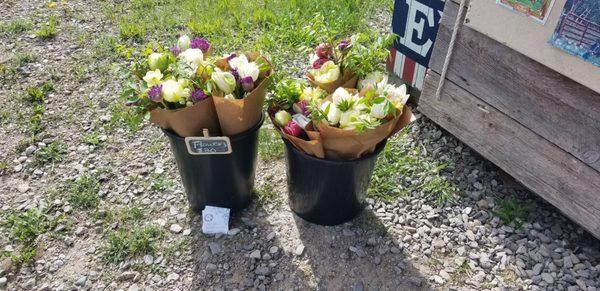 Fresh picked flowers