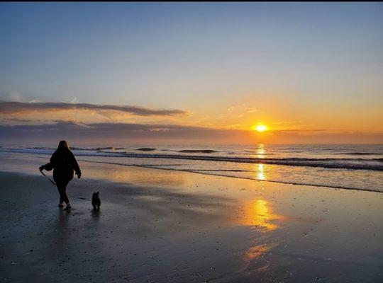 Every day is a good day at the beach, pets are welcome.