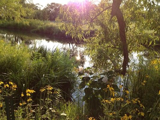 Neat place. Come feed the turtles . . . lots of them.