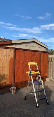 Fence and deck pressure washing and staining