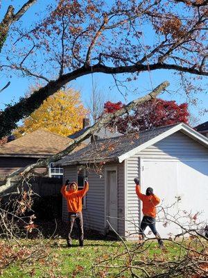 Nelman Tree Service