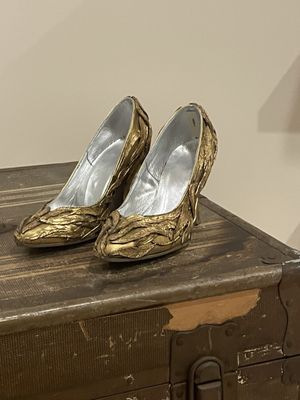 Cinderella into the woods shoes