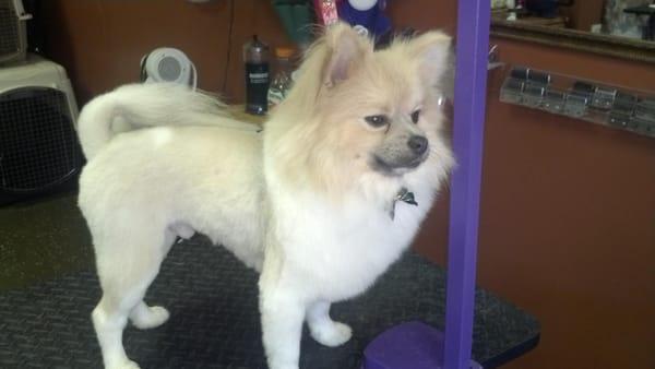 Client "Harley" after.