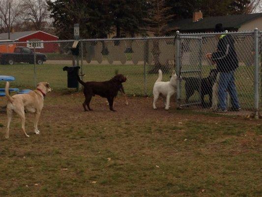 Peppers Dog Park