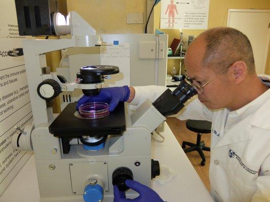 Examining cancer cells