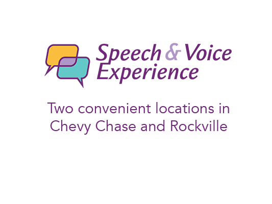 Speech and Voice Experience