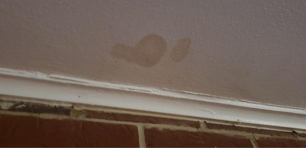 Stains on ceiling.