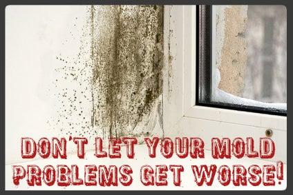 Mold Remediation Pros - Seattle