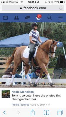 Trainer Nadia Moheisen at a Catherine Haddad Dressage Clinic in Ocala, FL