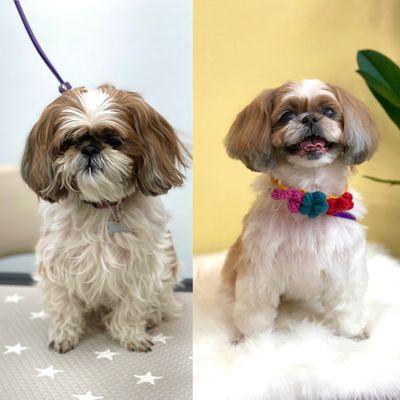 Coco's transformation!