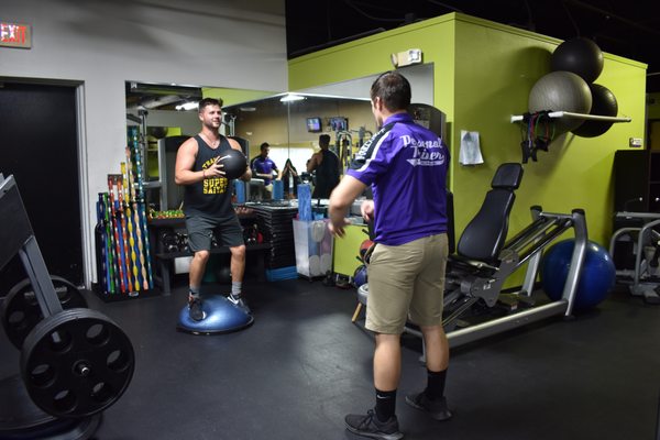 Stability Bosu training