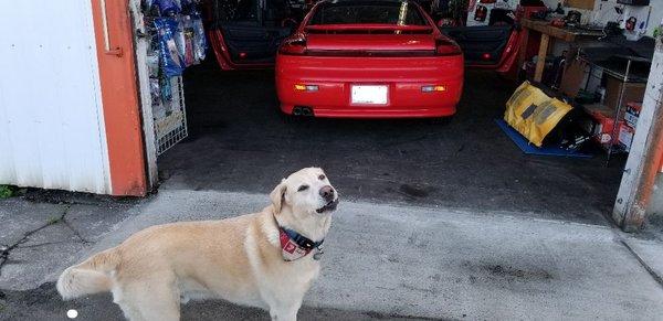 Blue came out to hear how great the 91 Stealth sounded with new speakers and a fantastic stereo!