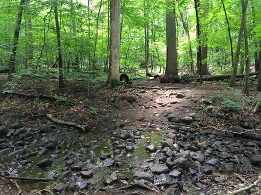 Crossing the "roaring" brook.