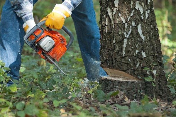 Tree Service Columbus Pro's