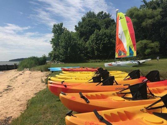 Kayaks, Paddle Boards, Sailing