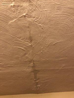 Water dripping down through our dining room ceiling.