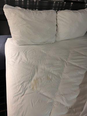 Dirty sheets