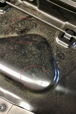 Evidence of rat droppings, urine and markings as found by the BMW mechanic