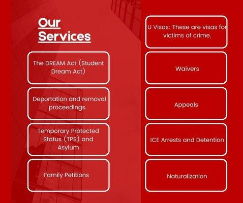 Our Services